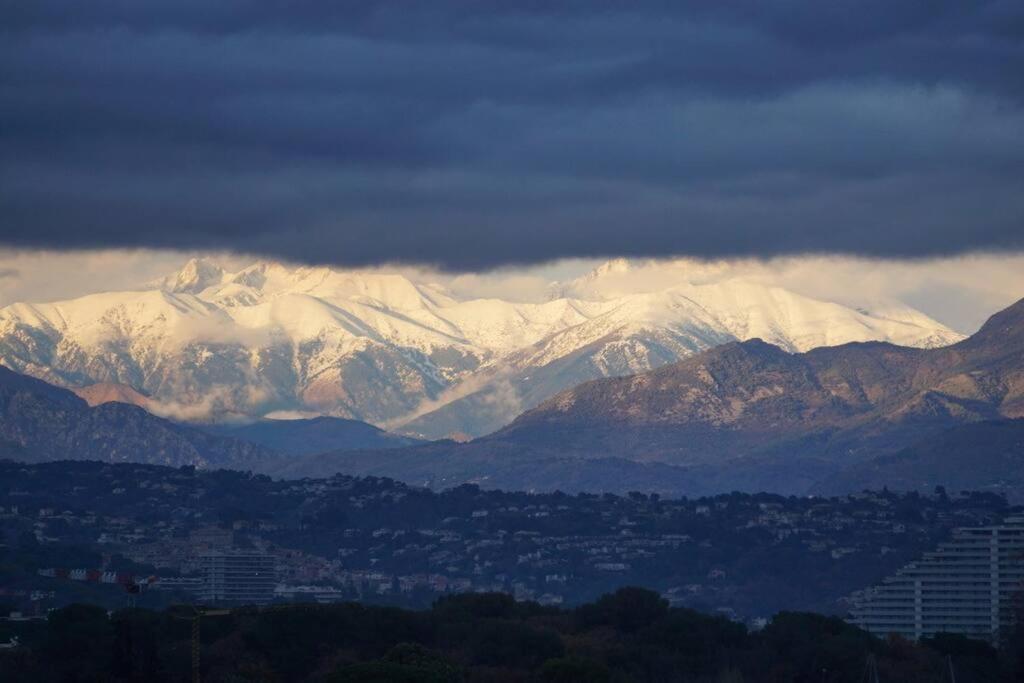Superbe Appartement, Piscine, Vue Mer Et Montagnes Antibes Luaran gambar